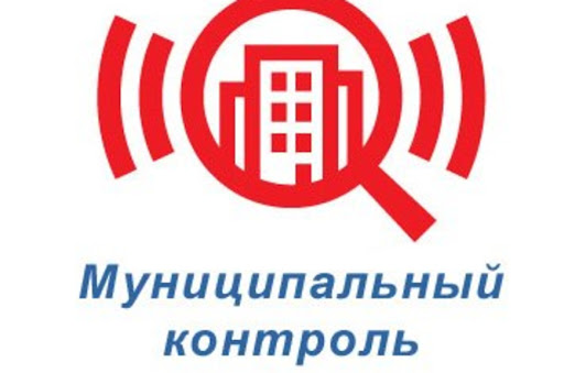 Муниципальные органы контроля