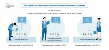 Как избежать наказания за неиспользуемые садовые и огородные земельные участки в 2025 году?