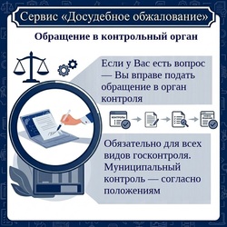 Бизнесу доступно - о сервисе досудебного обжалования