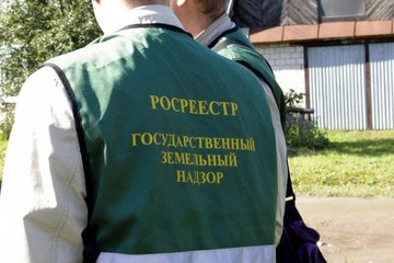 Управление призывает землевладельцев свердловской области уничтожать борщевик «Сосновского»