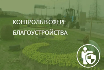 В ЦСР обсудили актуальные вопросы осуществления муниципального контроля в сфере благоустройства